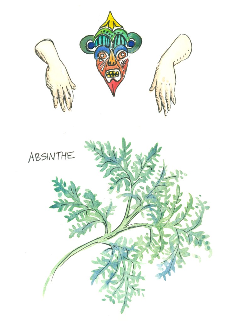 botanical illustration by franky frances cannon