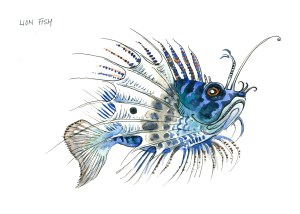 botanical illustration by franky frances cannon