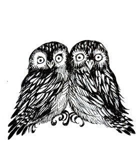 owls