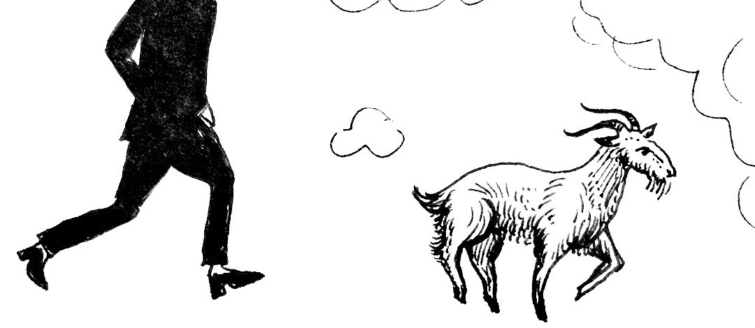 Another BOOK on the horizon