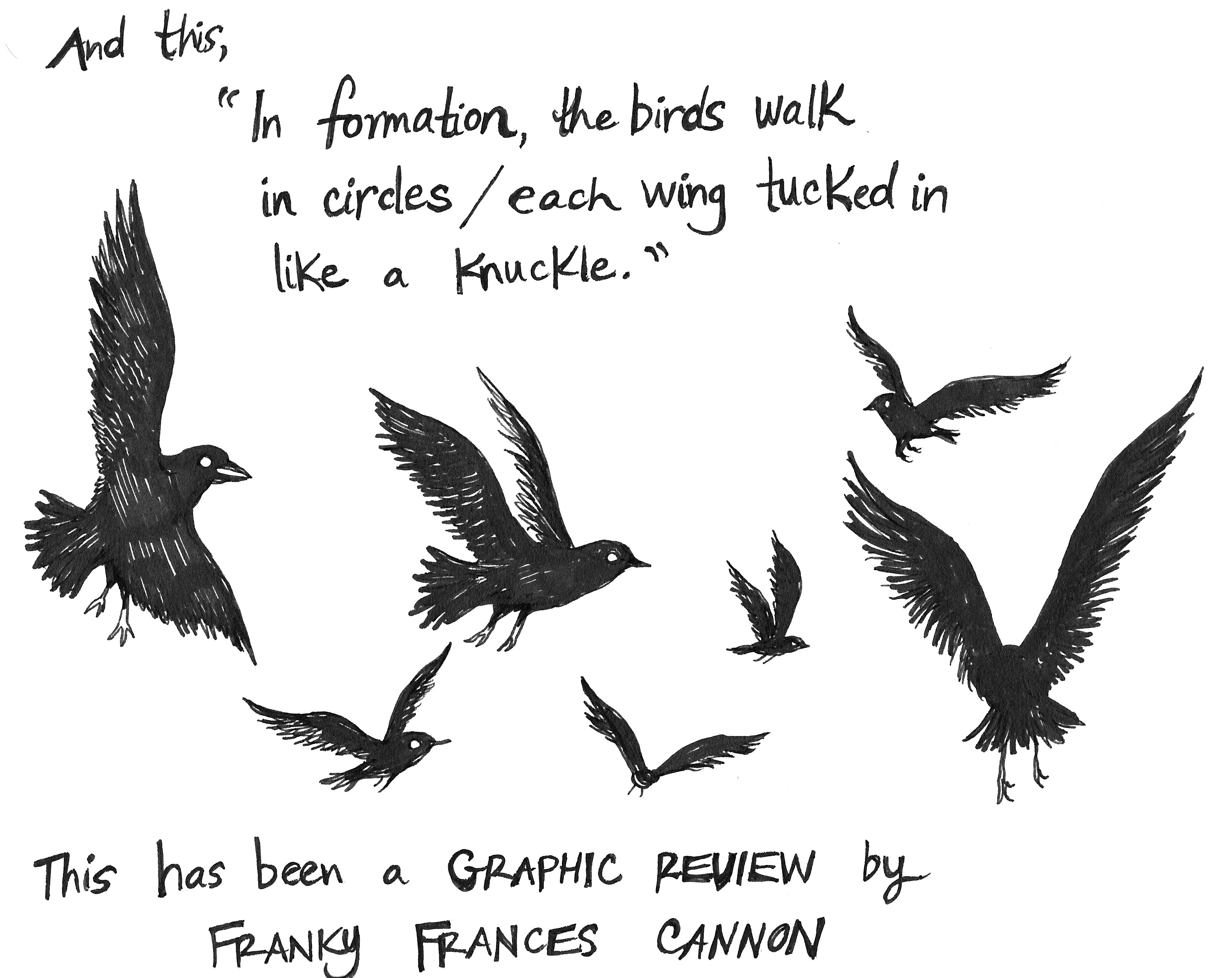 My new graphic reviews published by the Green Mountains Review: Adam Clay and Deborah Landau