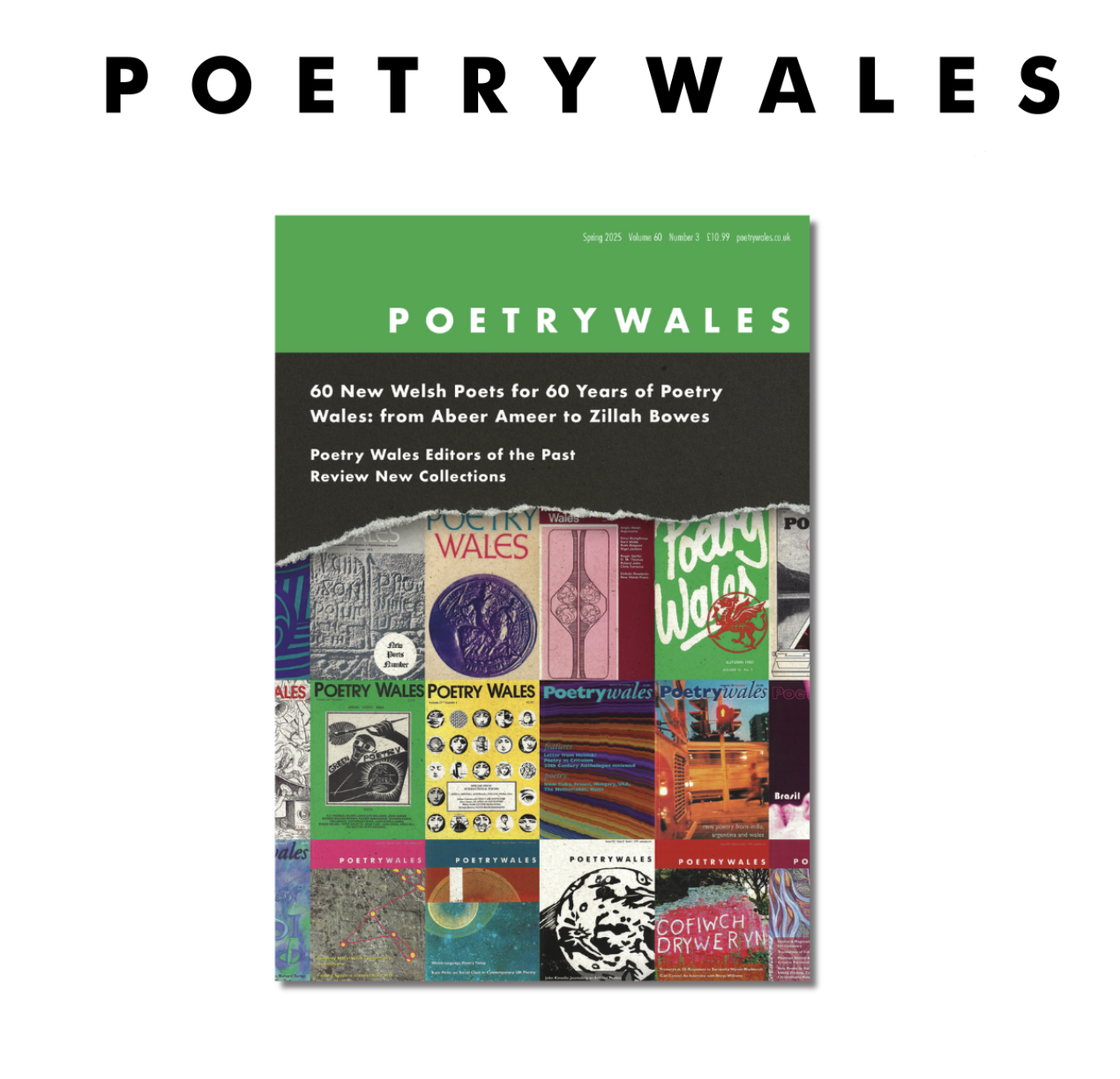 Reviews Editor at Poetry Wales