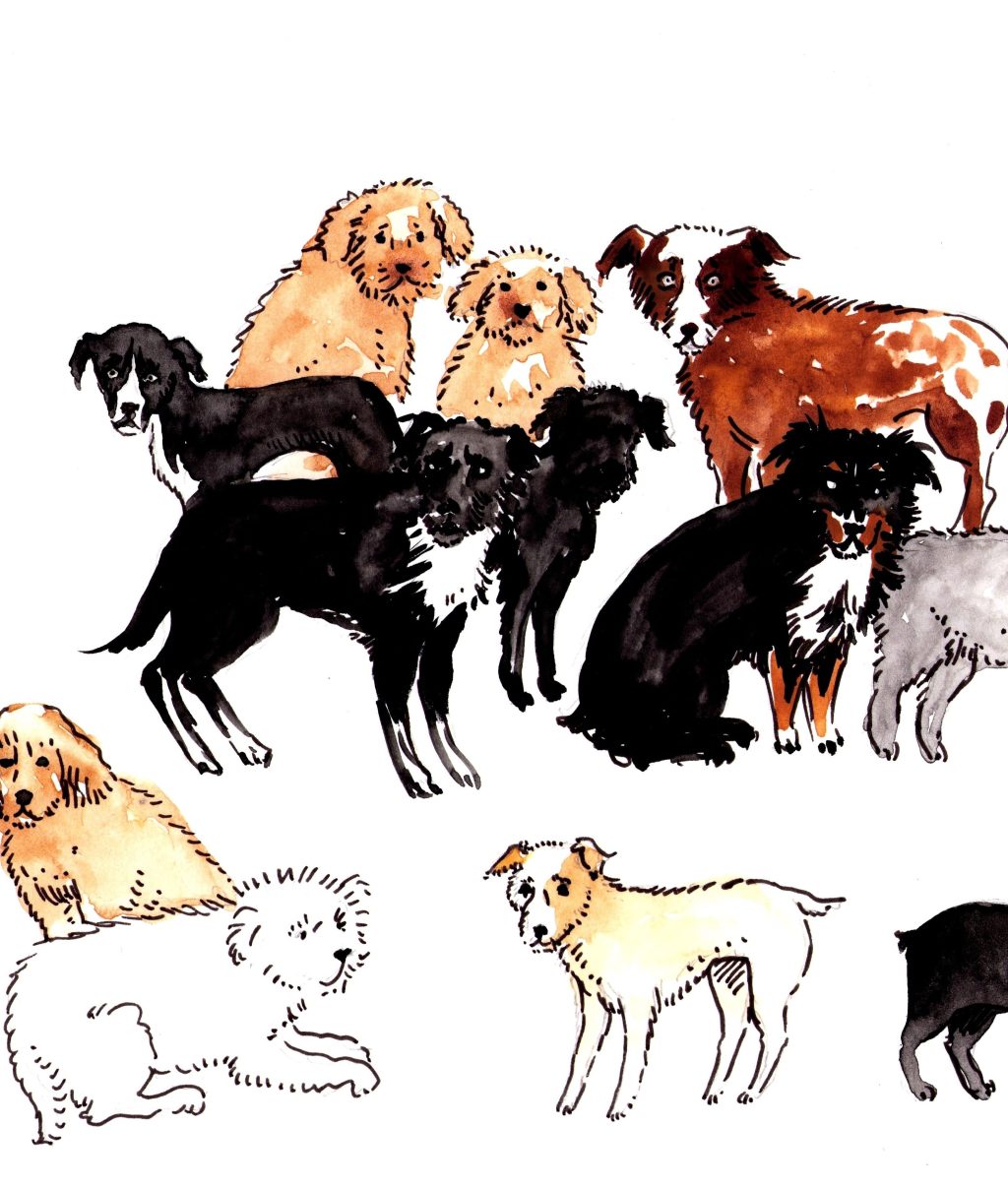 Illustrated essay in the NYT: Tintin’s transatlantic&nbsp;voyage